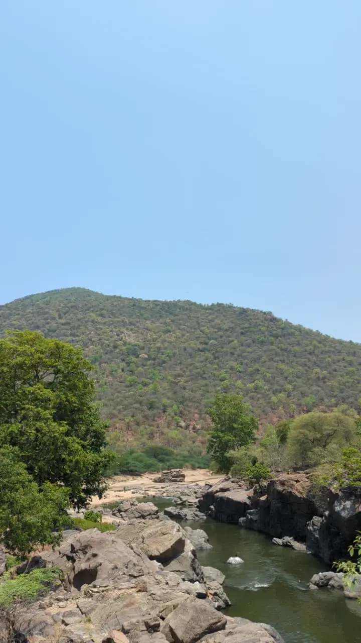 longRoadBack4